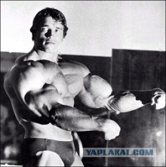 Статуя Арнольда Шварценеггера