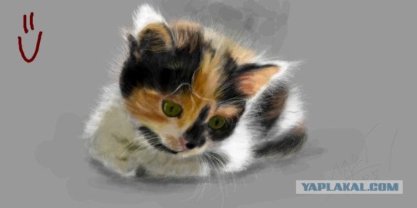 Рисованный котовторник