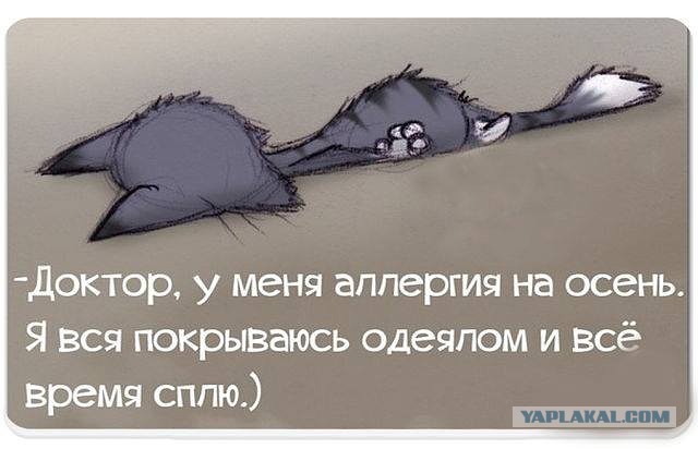 Картинки из интернетов