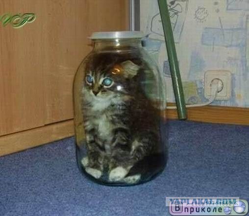 В тесноте, да не в обиде