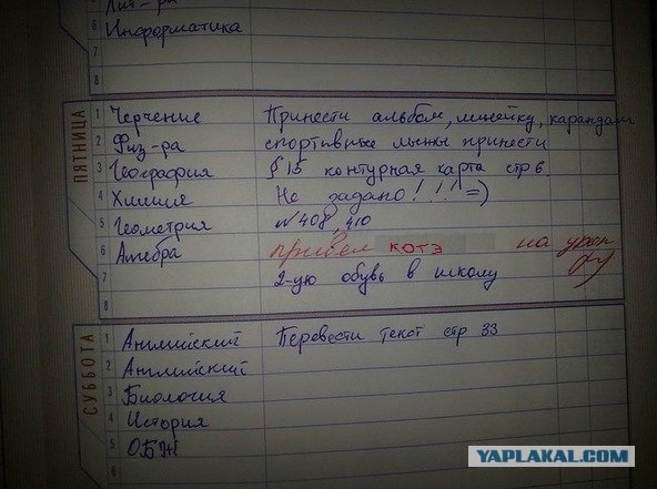 Киска