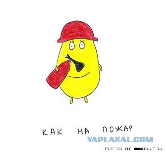 Рисованные животные дурачатся