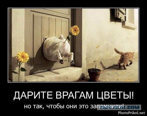 Грузинский спецназ как страйкбол