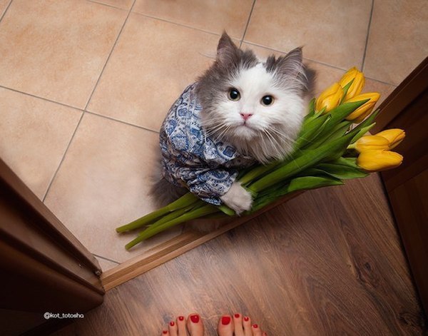 С международным вас женским днём.....