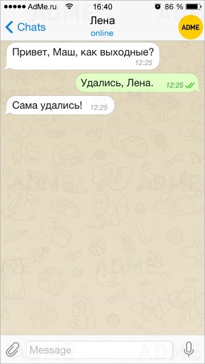 Картинки приколы чат, 60лет шаблоны открытка