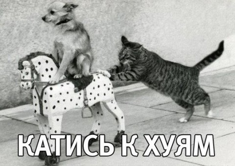 Перемирие кончилось, едва начавшись. Часть 11