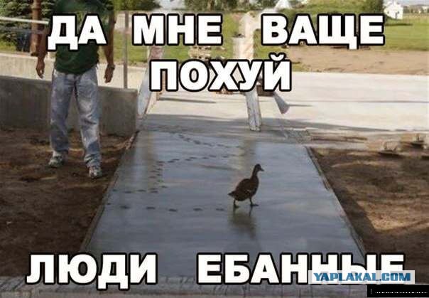 Пролистывал тут сайт вакансий...