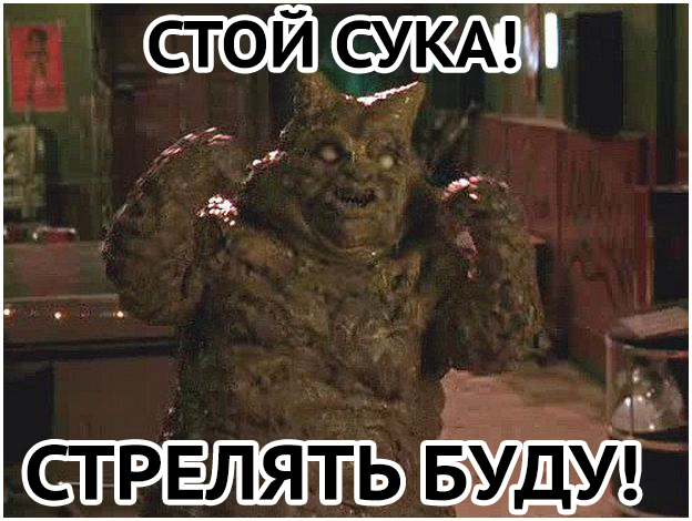 Сотрудника ГИБДД облили дерьмом. г.Курган
