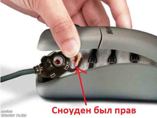 Просто картинки. Всяко разно, не заразно.