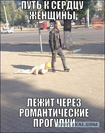 Картинки и прочее