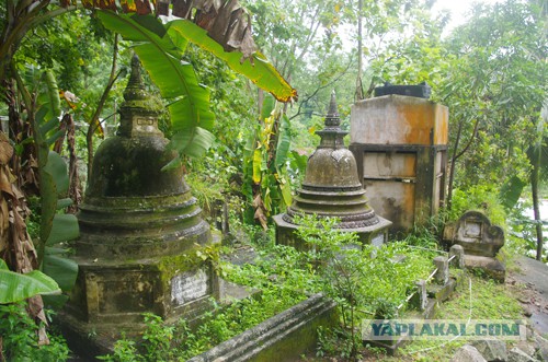 Самостоятельное путешествие в Шри-Ланку