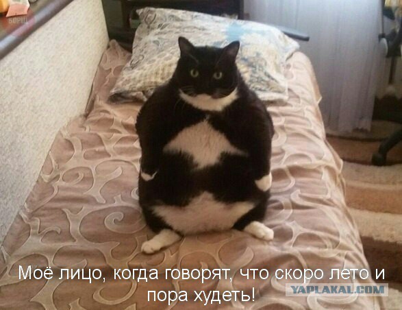 Картинки из ваших этих итернетов...