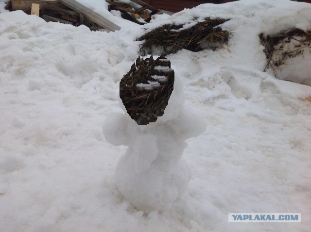 Строительство дома на даче