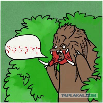 Как "девушки" ищут спонсоров в Ярославле