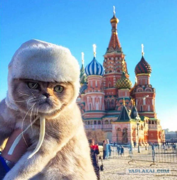 Фото, которые можно сделать только в России