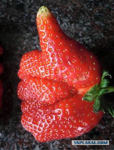 Перепутали… (про "обознашки" с юмором)