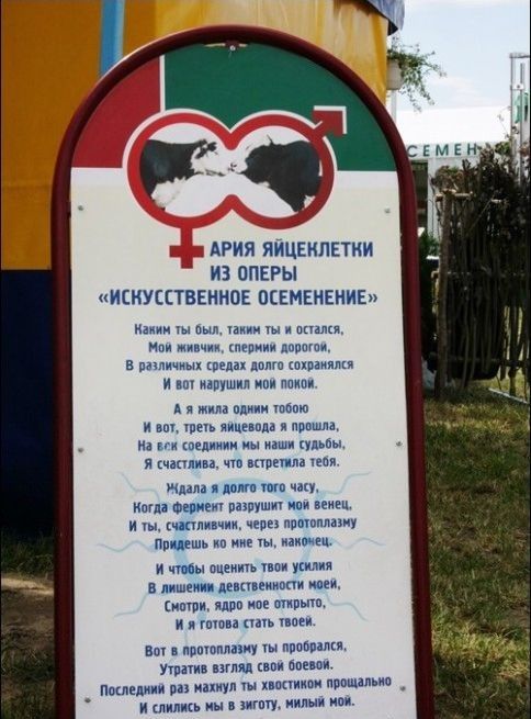 Для Поднятия Настроения - 3
