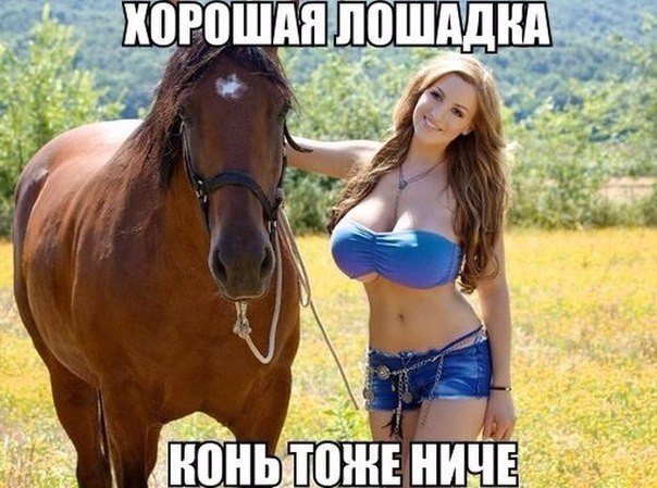 Подборка интересных и смешных картинок