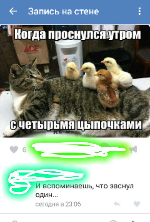 Ужасы и приколы из соцсетей 18+