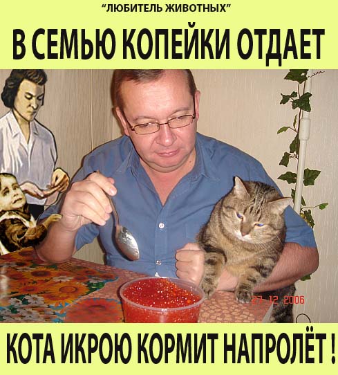 Фотожаба: Правильное питание для кота