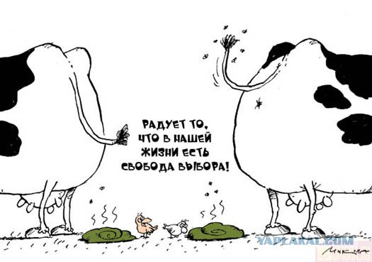Карикатуры всякие-разные