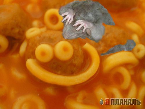 Люблю я макароны