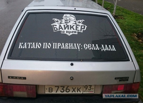 Тупые люди. Тупые животные. Тупые высказывания. Все тупые!