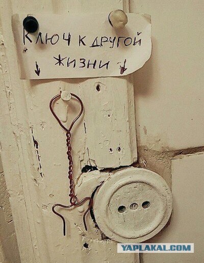 Бешеная баньши (Психиатрическая байка)