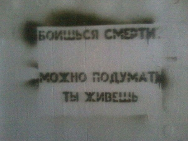 Порция картинок