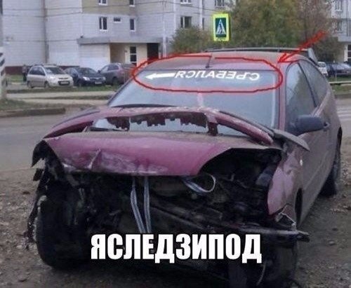 Подборка безудержного веселья