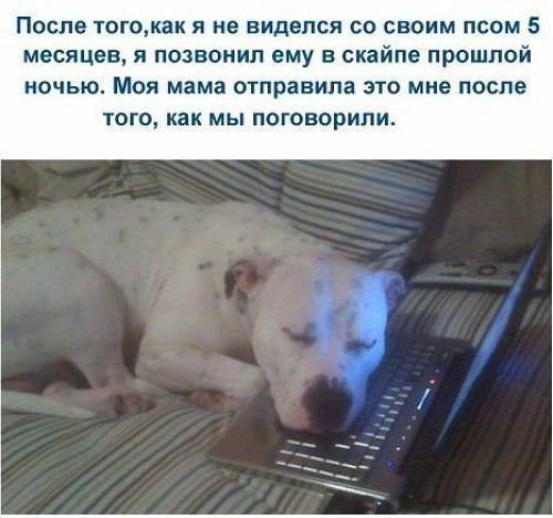 Подборка интересных и веселых картинок