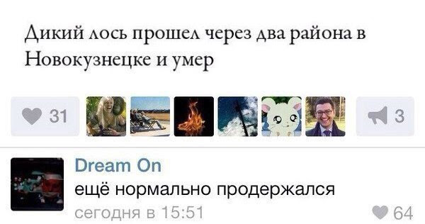 Подборка интересных и веселых картинок