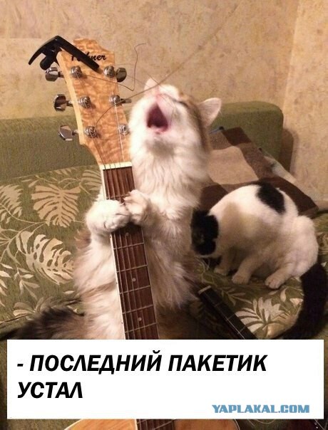 Оооо, моя оборона!