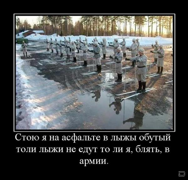 Подборка картинок с юмором "на любителя"