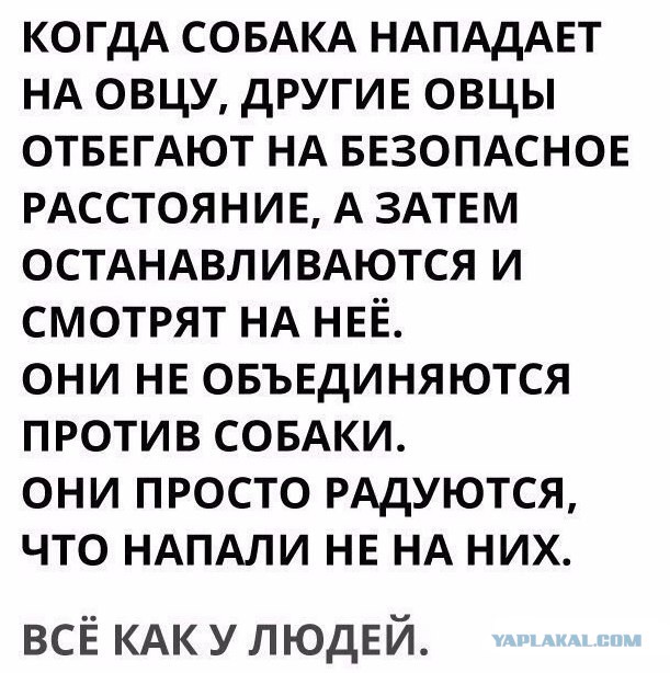 Внимание! РПЦ