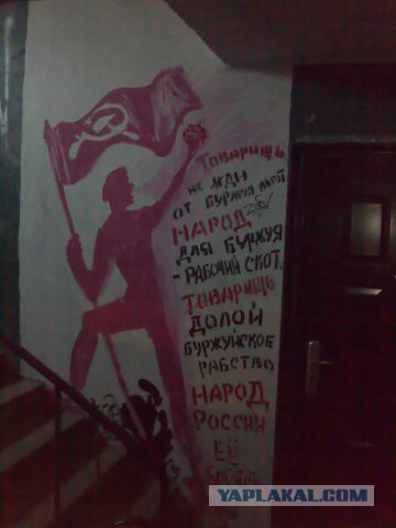 Подборка интересных и веселых картинок