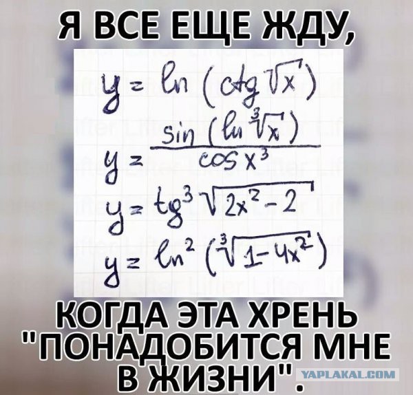 Приколы в картинках или прикольные картинки?