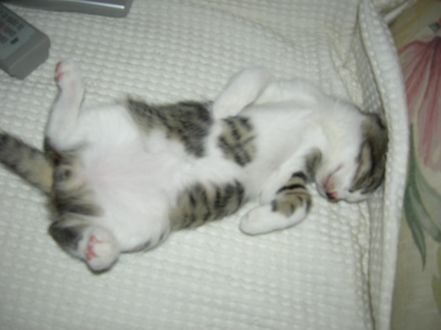 КПМ история со счастливым концом