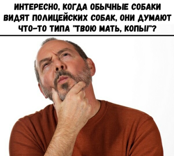 Не очень адекватный юмор