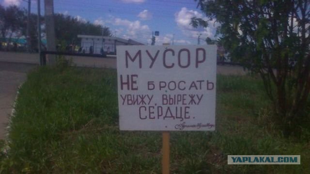 Смешные объявления, надписи и вывески