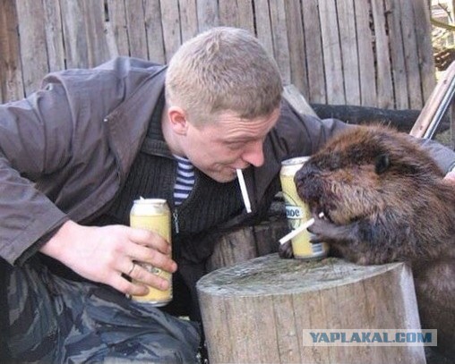 Поймали