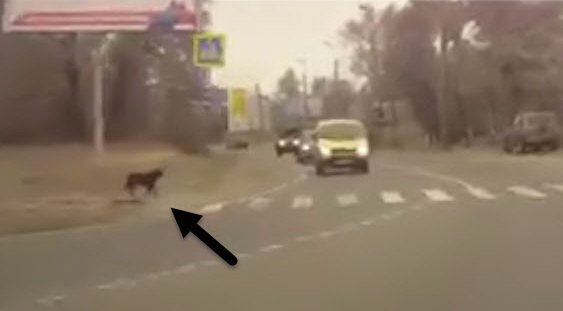 Я не понимаю - нас за дураков держат, что-ли?