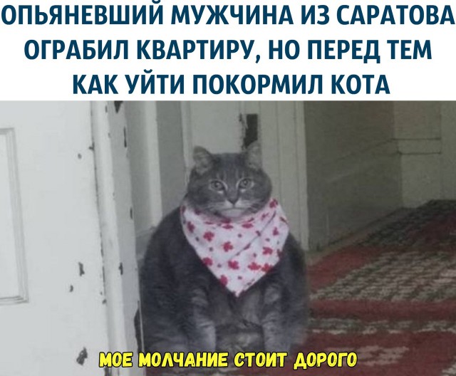 Немного картинок для настроения