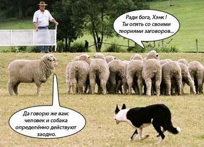 Анекдоты, соц-сети и картинки с надписями