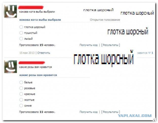 Прикольные комментарии из соц.сетей на эту пятницу