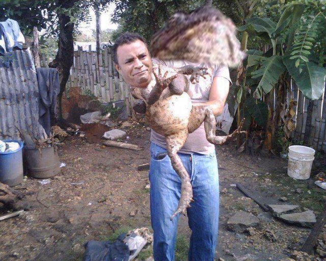 Царевна - лягушка