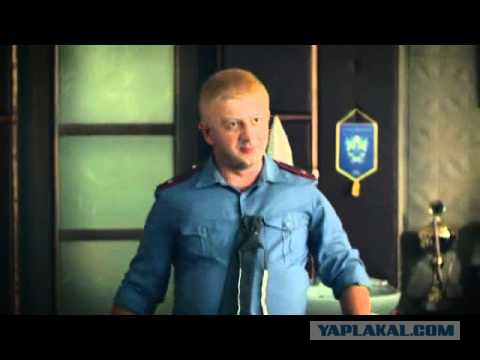 Семейка Гавс в деле