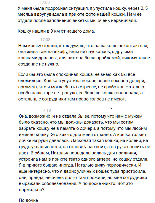 Помогите вернуть кота! Приют "Преданное сердце" украл кота и не отдает!