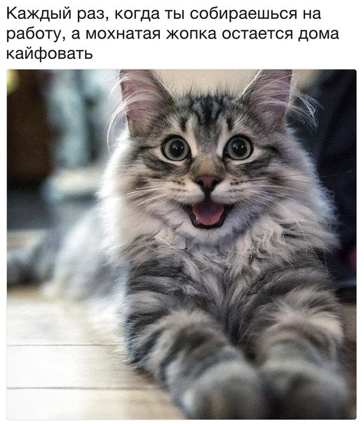 Всем хорошего настроения с картинками