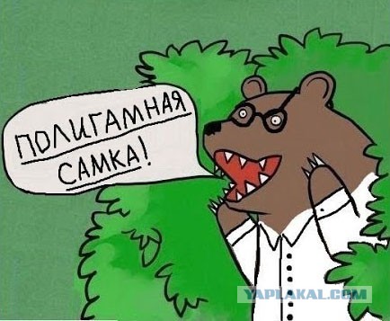 Зачем бедные рожают много детей?